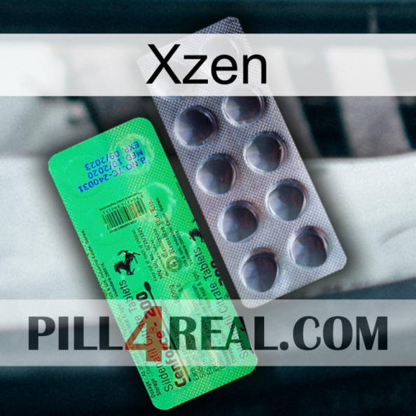 Xzen new04